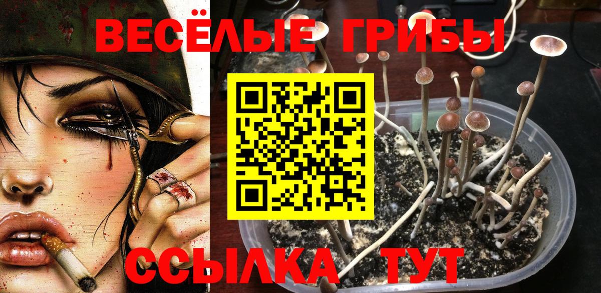 Галлюциногенные грибы Psilocybine cubensis  Галлюциногенные грибы MAGIC MUSHROOMS  Десногорск  Вход с VPN 